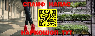 не бодяженный Тара