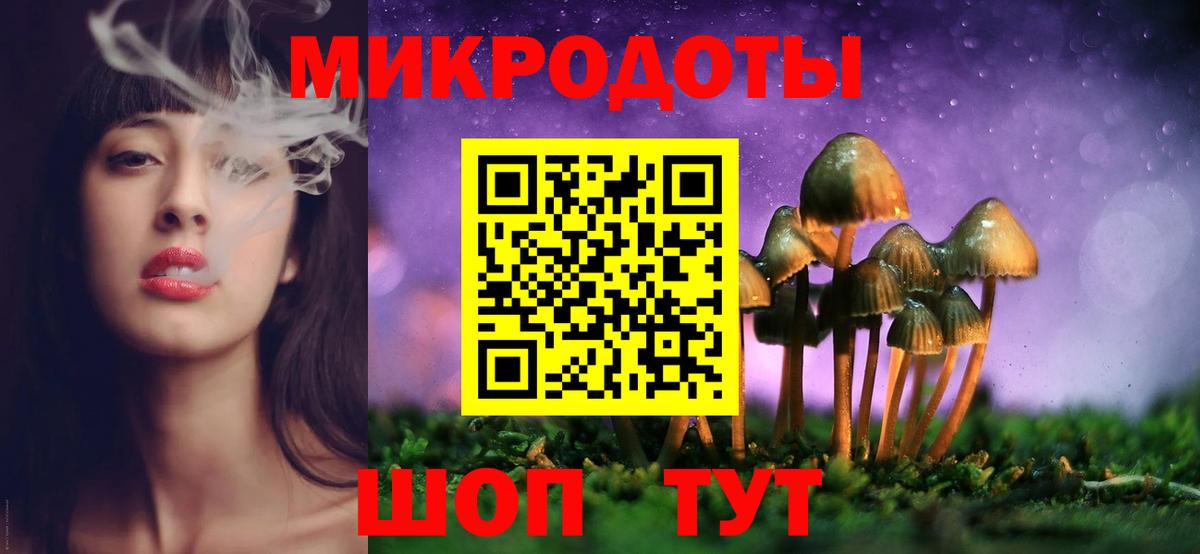 Псилоцибиновые грибы Psilocybe  Вход с VPN  Нижний Тагил  Псилоцибиновые грибы GOLDEN TEACHER 